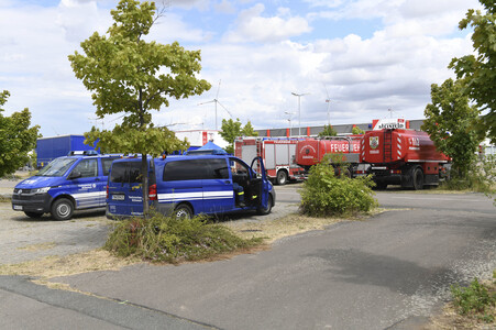 Waldbrand in der Gohrischheide