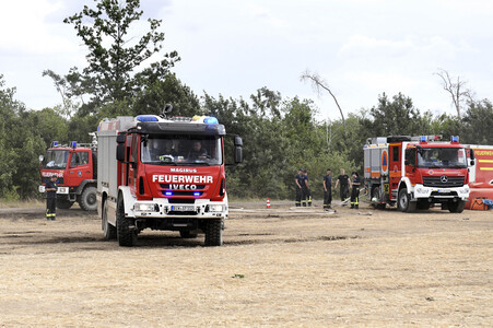 Waldbrand in der Gohrischheide