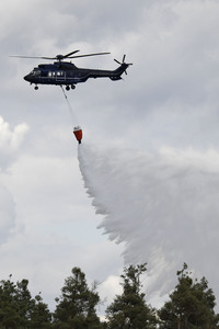 Waldbrand in der Gohrischheide