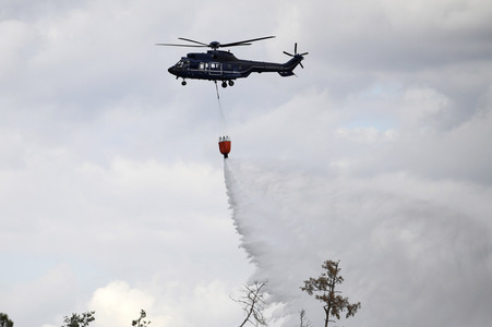 Waldbrand in der Gohrischheide