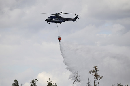 Waldbrand in der Gohrischheide