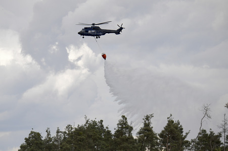 Waldbrand in der Gohrischheide