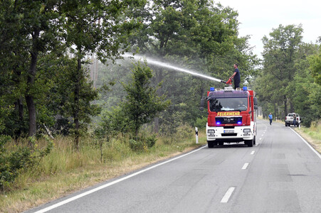 Waldbrand in der Gohrischheide