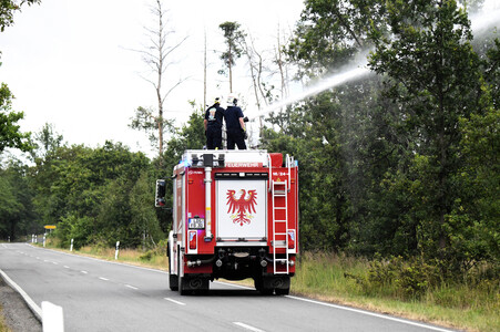 Waldbrand in der Gohrischheide