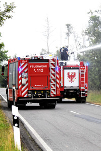 Waldbrand in der Gohrischheide
