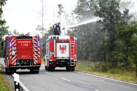 Waldbrand in der Gohrischheide