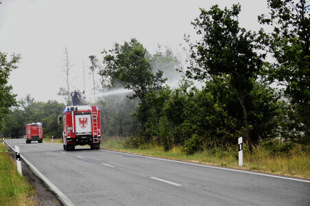 Waldbrand in der Gohrischheide