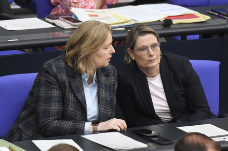 17. Sitzung des Deutschen Bundestages in Berlin