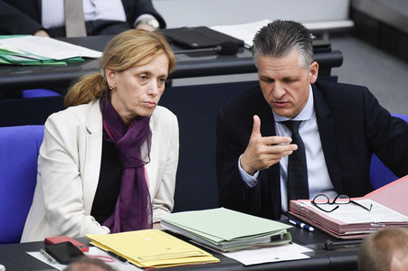 17. Sitzung des Deutschen Bundestages in Berlin