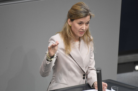 17. Sitzung des Deutschen Bundestages in Berlin