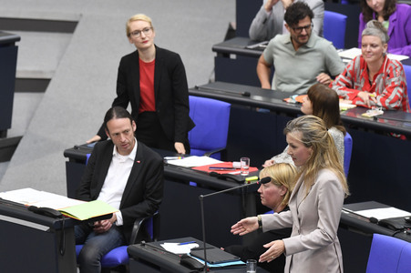 17. Sitzung des Deutschen Bundestages in Berlin