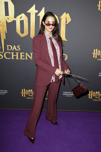 Red Carpet-Event 10 Jahre Theater am Großmarkt in Hamburg