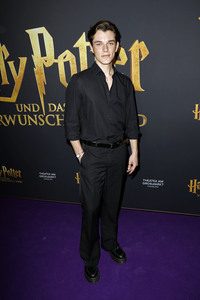 Red Carpet-Event 10 Jahre Theater am Großmarkt in Hamburg