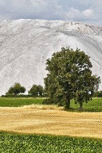 Abraumhalde Wetterberg in Giesen