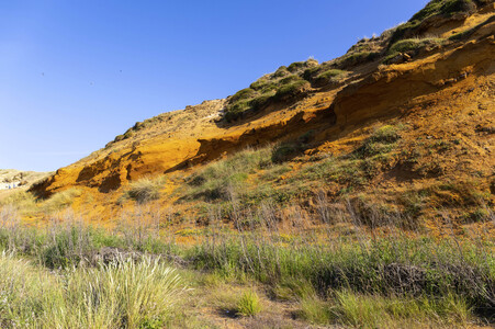 Das Morsum-Kliff bei Morsum