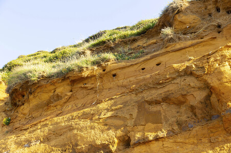 Das Morsum-Kliff bei Morsum