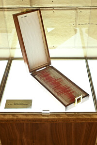 Paramount+ The Lodge, San Diego Comic-Con International 2025