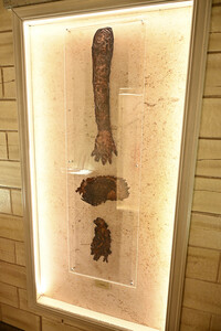 Paramount+ The Lodge, San Diego Comic-Con International 2025