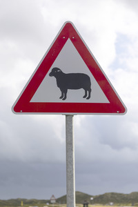 Symbolfoto Verkehrsschild Achtung Schafe