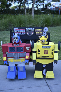 Impressionen von der San Diego Comic-Con International 2025