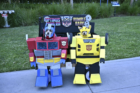 Impressionen von der San Diego Comic-Con International 2025