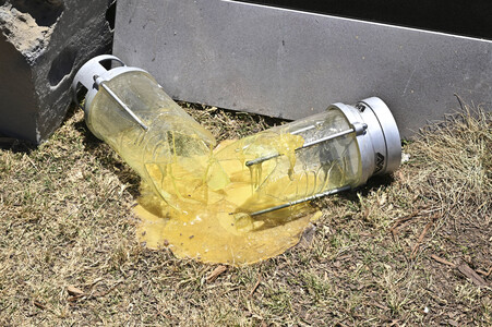 Impressionen von der San Diego Comic-Con International 2025