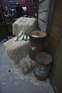 Impressionen von der San Diego Comic-Con International 2025