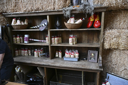 Impressionen von der San Diego Comic-Con International 2025