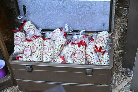 Impressionen von der San Diego Comic-Con International 2025