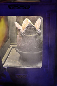 Impressionen von der San Diego Comic-Con International 2025