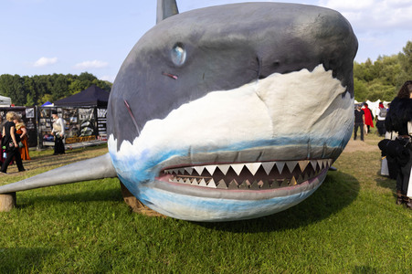 Mittelalterlich Phantasie Spectaculum in Bückeburg