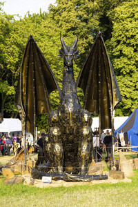 Mittelalterlich Phantasie Spectaculum in Bückeburg