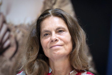 Pressekonferenz zur Pyronale 2025 in Berlin