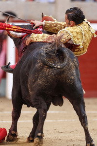 Stierkampf in Pontevedra