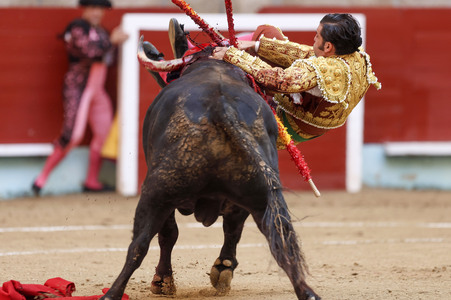 Stierkampf in Pontevedra