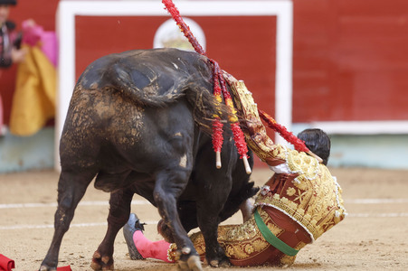 Stierkampf in Pontevedra