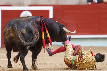 Stierkampf in Pontevedra