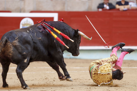 Stierkampf in Pontevedra