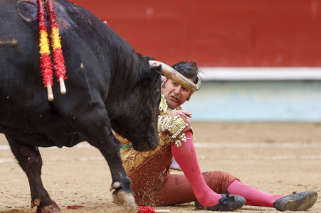 Stierkampf in Pontevedra