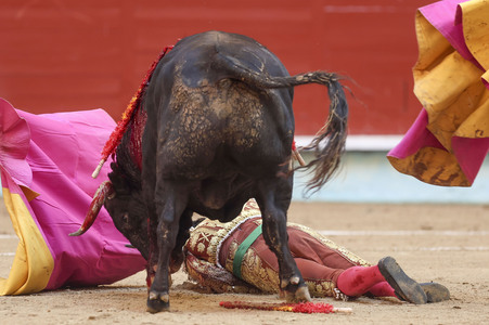 Stierkampf in Pontevedra