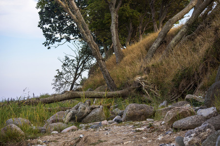 Nature Art: Mensch & Natur - Farbige Symbiosen Kalender 2026