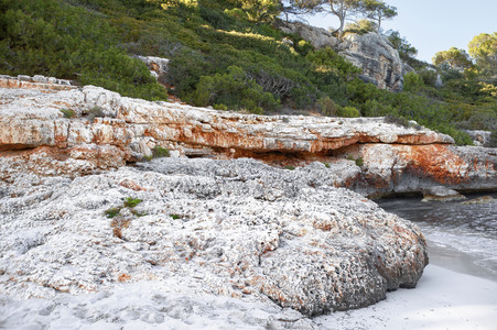 Nature Art: Mensch & Natur - Farbige Symbiosen Kalender 2026
