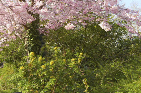 Nature Art: Mensch & Natur - Farbige Symbiosen Kalender 2026