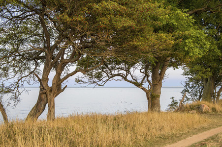 Nature Art: Mensch & Natur - Farbige Symbiosen Kalender 2026