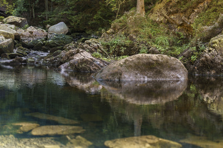 Nature Art: Mensch & Natur - Farbige Symbiosen Kalender 2026