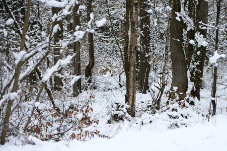 Nature Art: Mensch & Natur - Farbige Symbiosen Kalender 2026