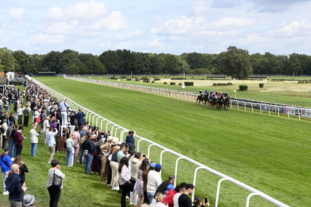 Audi Ascot Renntag 2025 in Langenhagen
