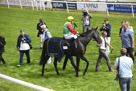 Audi Ascot Renntag 2025 in Langenhagen