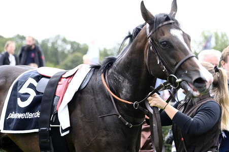 Audi Ascot Renntag 2025 in Langenhagen