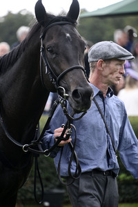 Audi Ascot Renntag 2025 in Langenhagen